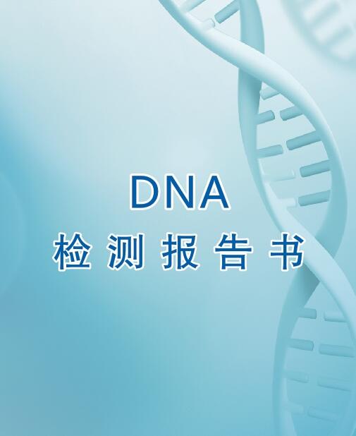 郑州亲子鉴定流程之出具报告